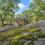 Roof Cleaning to Remove Carbon from Shingles in Lewis Center